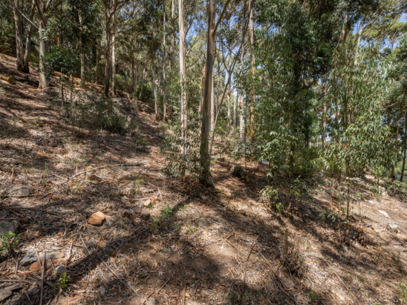 Blackwood AS 2023_072