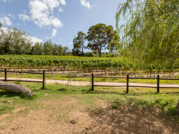 Country Living AS 2024 - 070