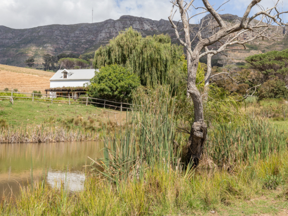 Country Living AS 2024 - 071
