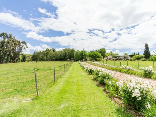 004 Kromme Rivier Farm AS 2017