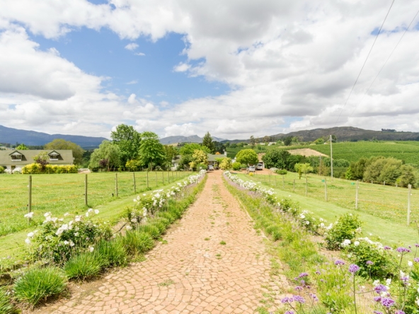 007 Kromme Rivier Farm AS 2017