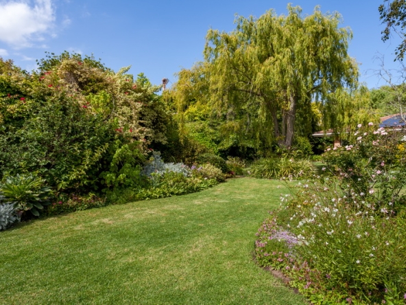 008 Zomerlust AS 2019