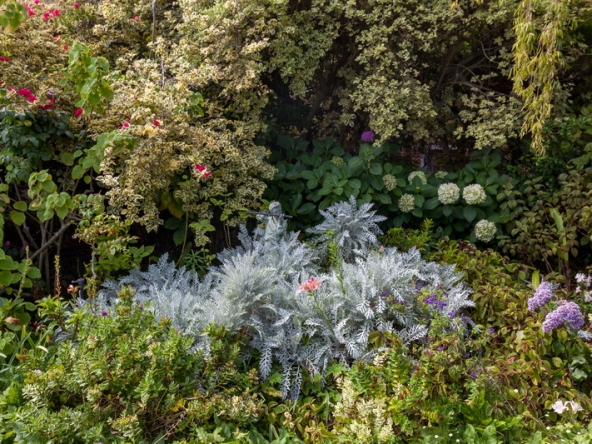 010 Zomerlust AS 2019