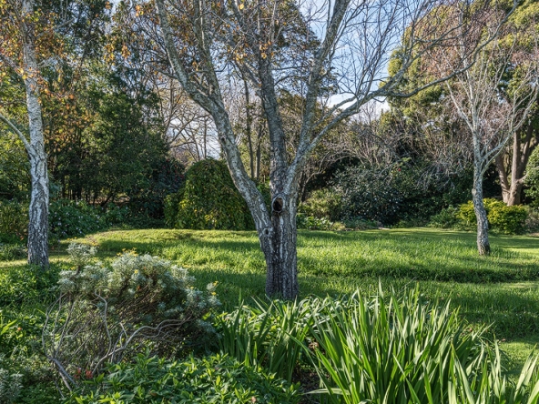013 Garden Delight AS 2026