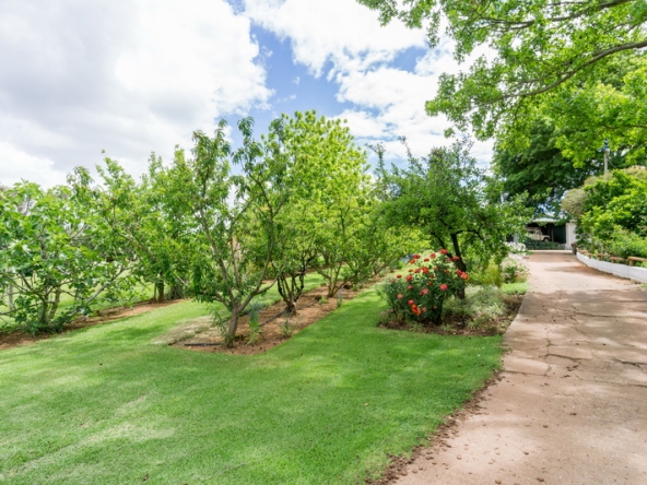 015 Kromme Rivier Farm AS 2017