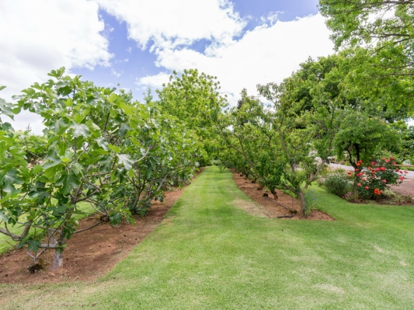 016 Kromme Rivier Farm AS 2017