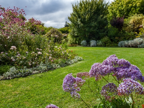 018 Zomerlust AS 2019