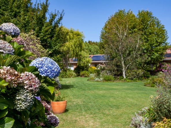 028 Zomerlust AS 2019