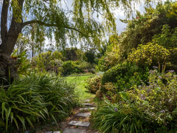 035 Zomerlust AS 2019