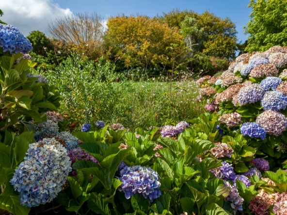 045 Zomerlust AS 2019