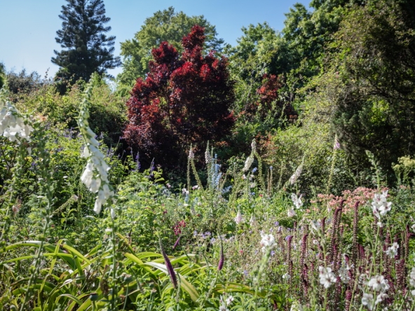 046 Fresh Woods AS 2019