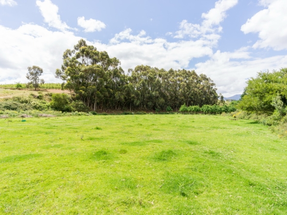048 Kromme Rivier Farm AS 2017