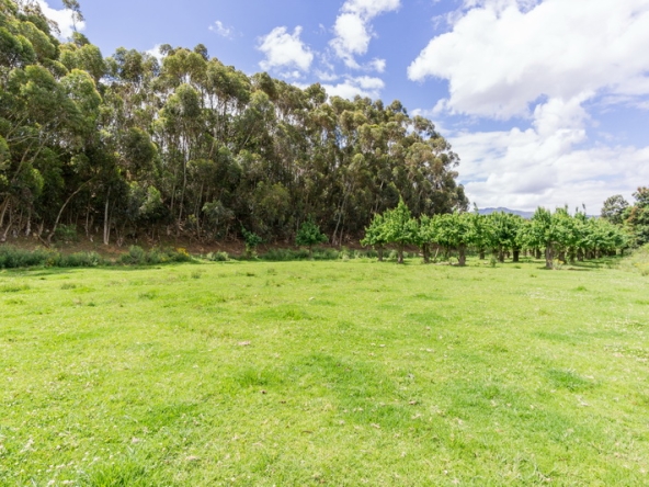 050 Kromme Rivier Farm AS 2017