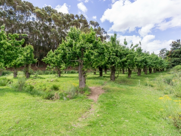 051 Kromme Rivier Farm AS 2017