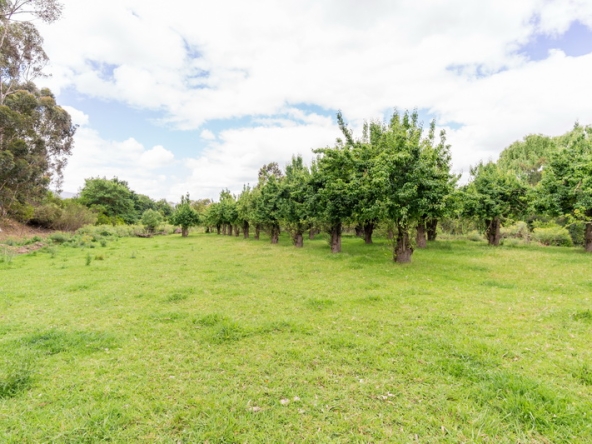 052 Kromme Rivier Farm AS 2017