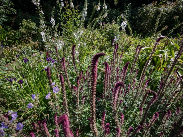 053 Fresh Woods AS 2019