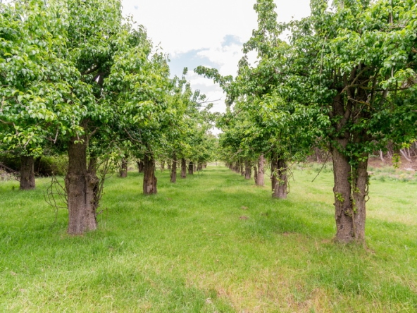 053 Kromme Rivier Farm AS 2017