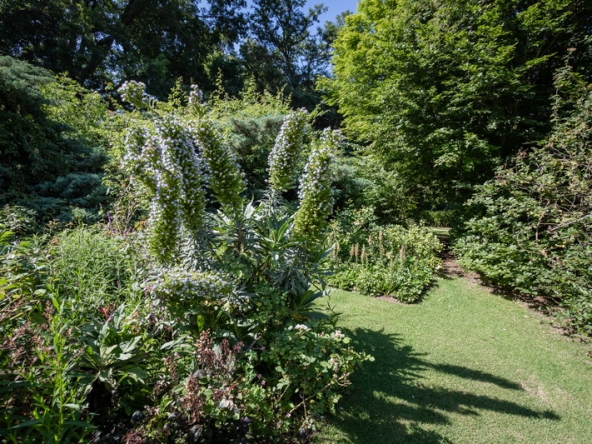 058 Fresh Woods AS 2019