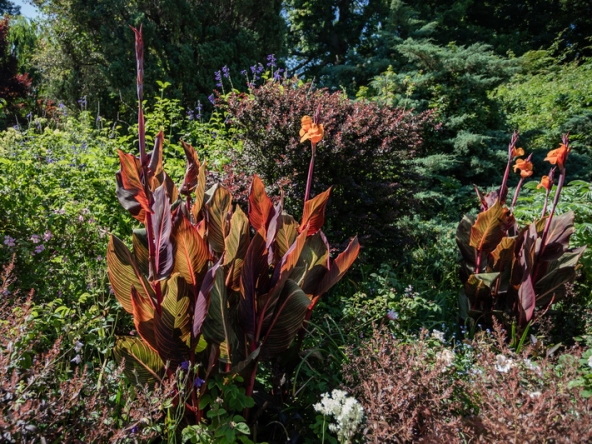 059 Fresh Woods AS 2019