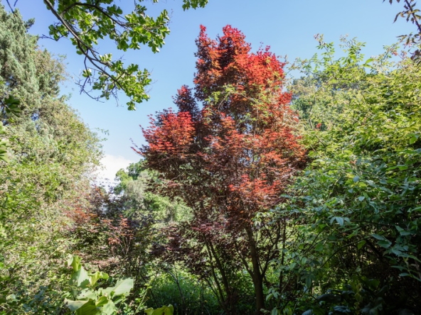 065 Fresh Woods AS 2019