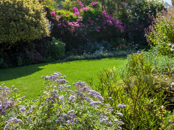 066 Zomerlust AS 2019