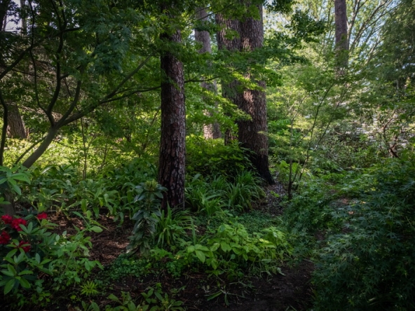 067 Fresh Woods AS 2019