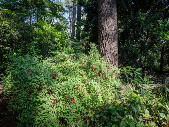 074 Fresh Woods AS 2019