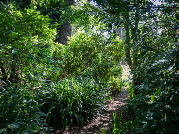 075 Fresh Woods AS 2019