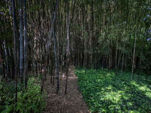 076 Fresh Woods AS 2019