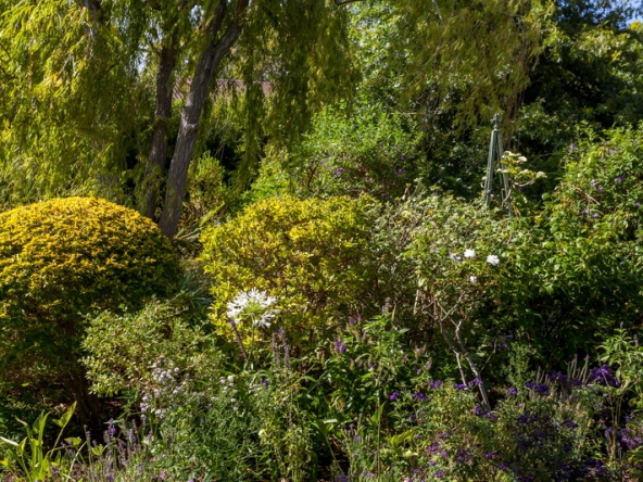 077 Zomerlust AS 2019