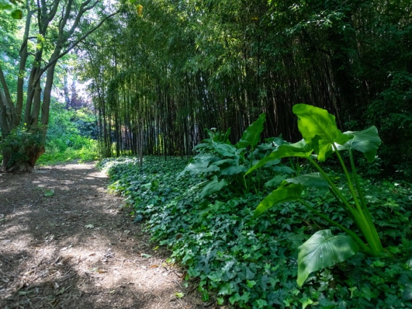 079 Fresh Woods AS 2019