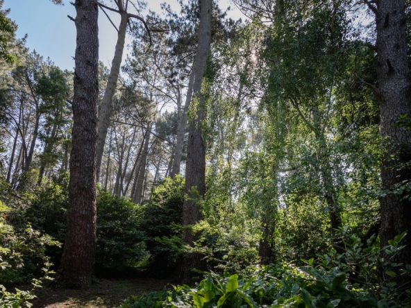 081 Fresh Woods AS 2019