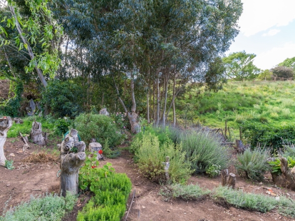 082 Kromme Rivier Farm AS 2017