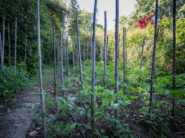 083 Fresh Woods AS 2019