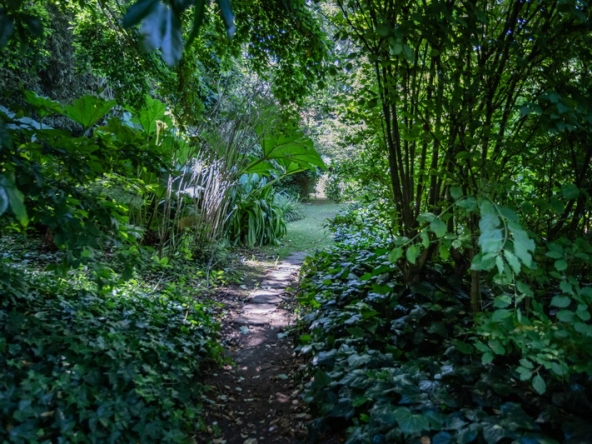 085 Fresh Woods AS 2019