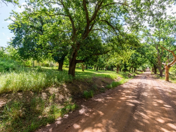 089 Kromme Rivier Farm AS 2017