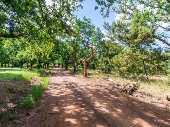 090 Kromme Rivier Farm AS 2017