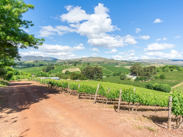 091 Kromme Rivier Farm AS 2017