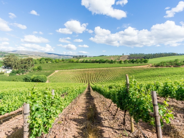 092 Kromme Rivier Farm AS 2017