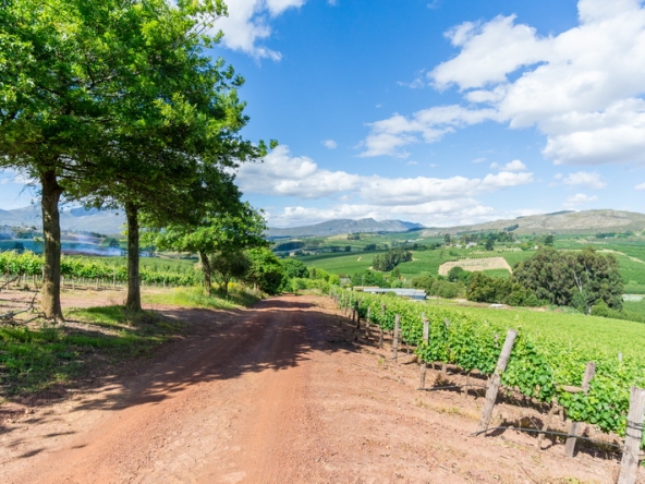 093 Kromme Rivier Farm AS 2017