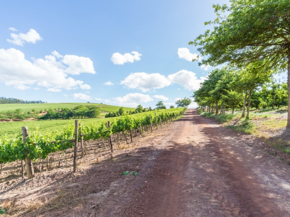 094 Kromme Rivier Farm AS 2017