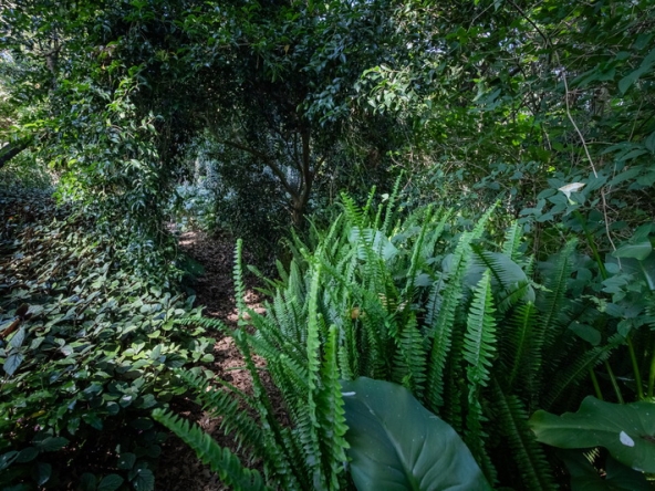 095 Fresh Woods AS 2019