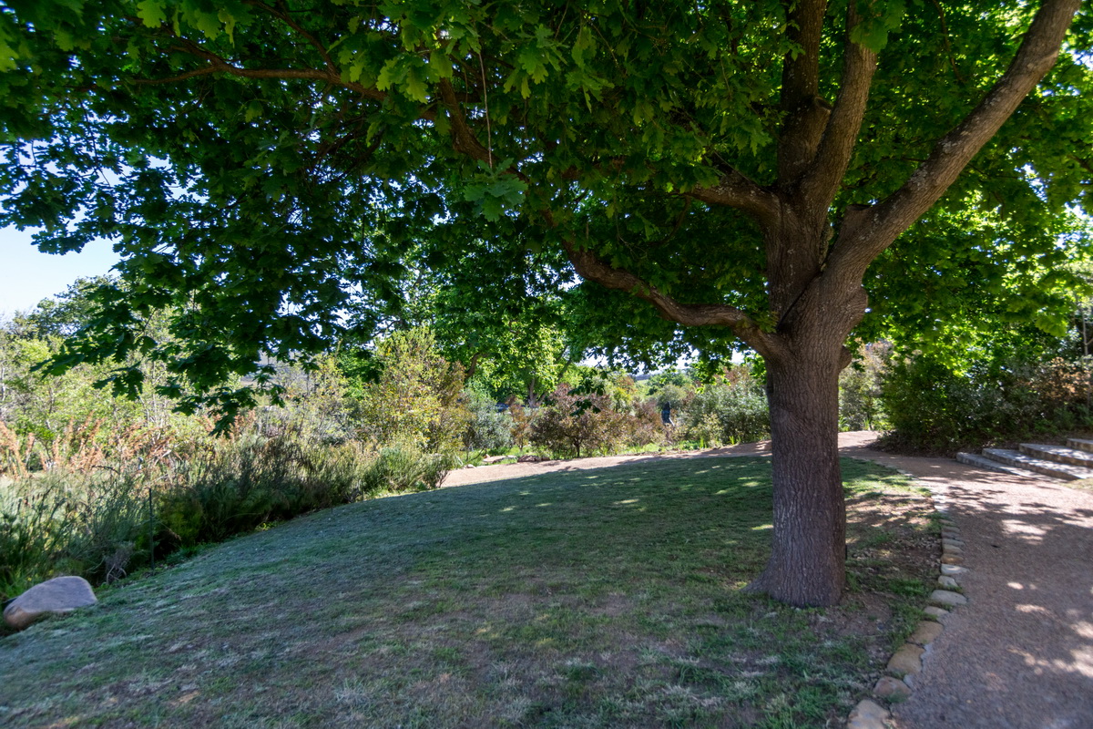 Artists Garden