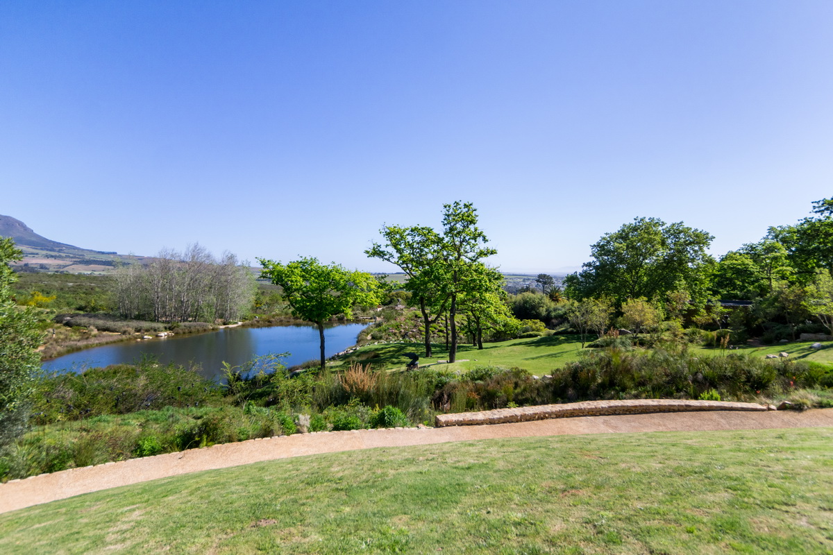 Artists Garden