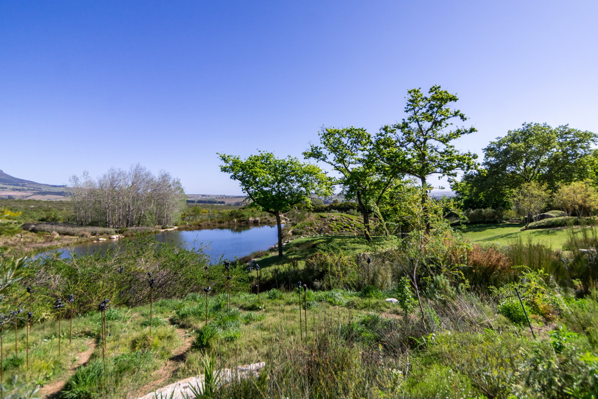 Artists Garden