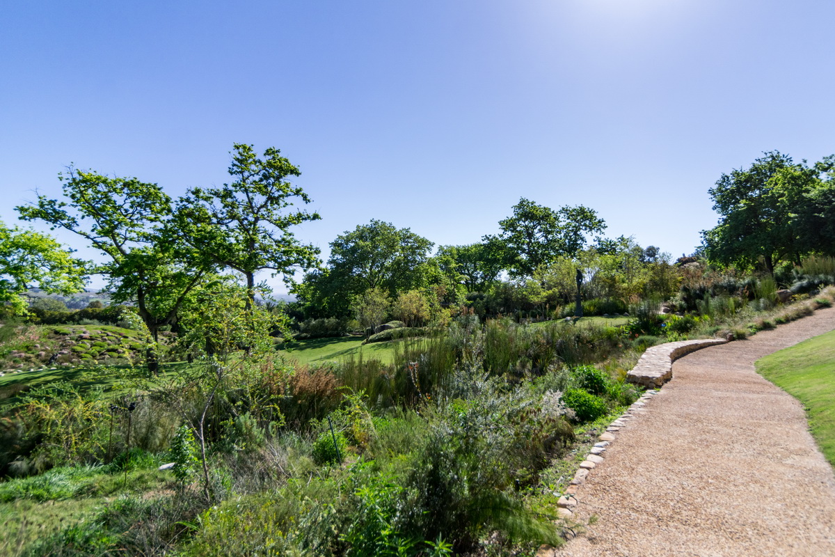 Artists Garden