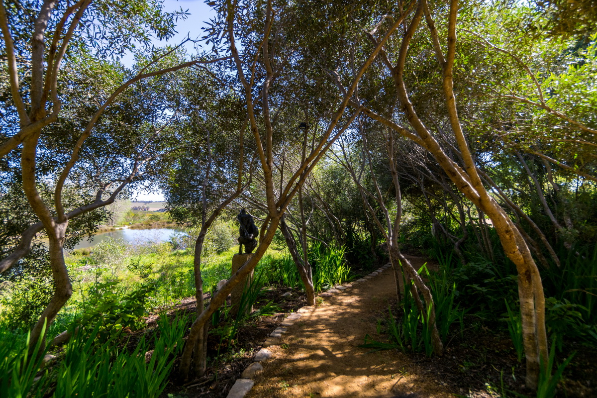Artists Garden