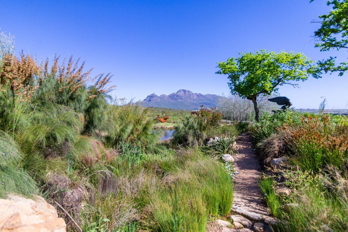 Artists Garden
