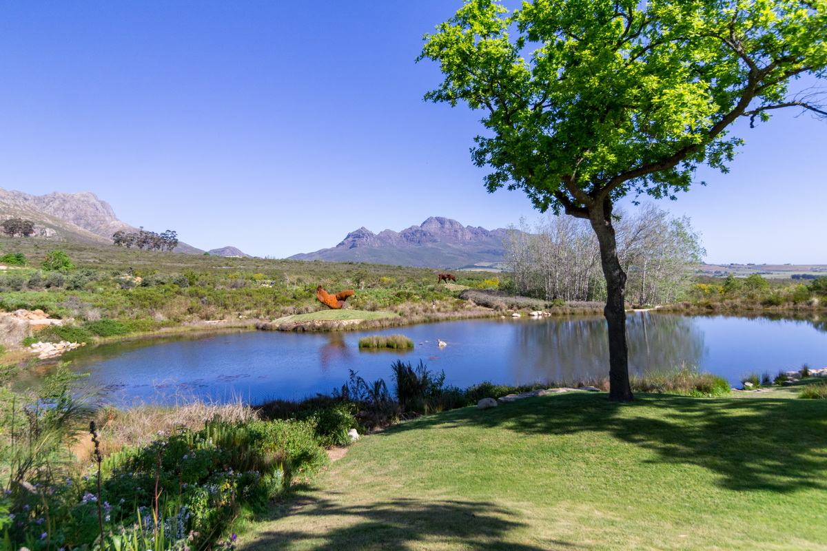Artists Garden