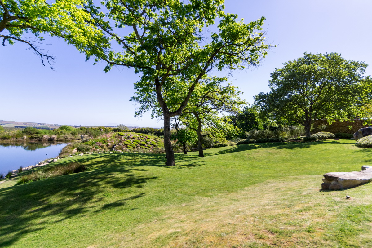 Artists Garden